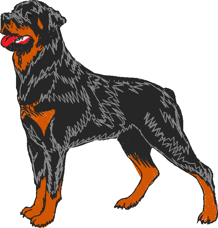 Dogs 15  (12)