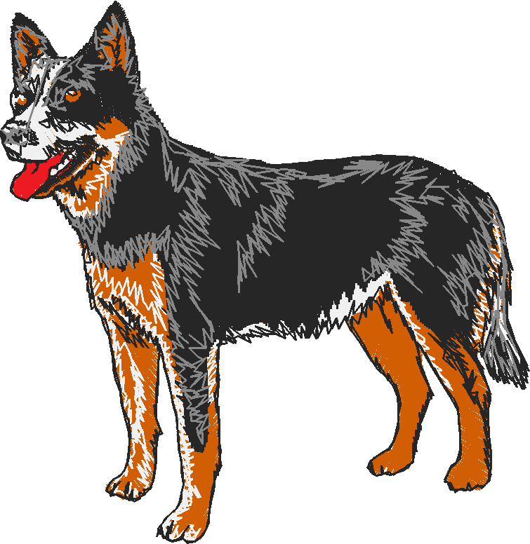 Dogs 15  (15)