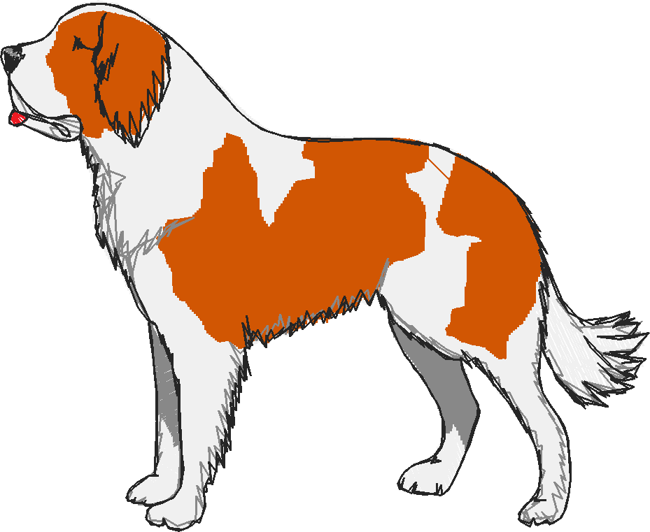 Dogs 15  (17)