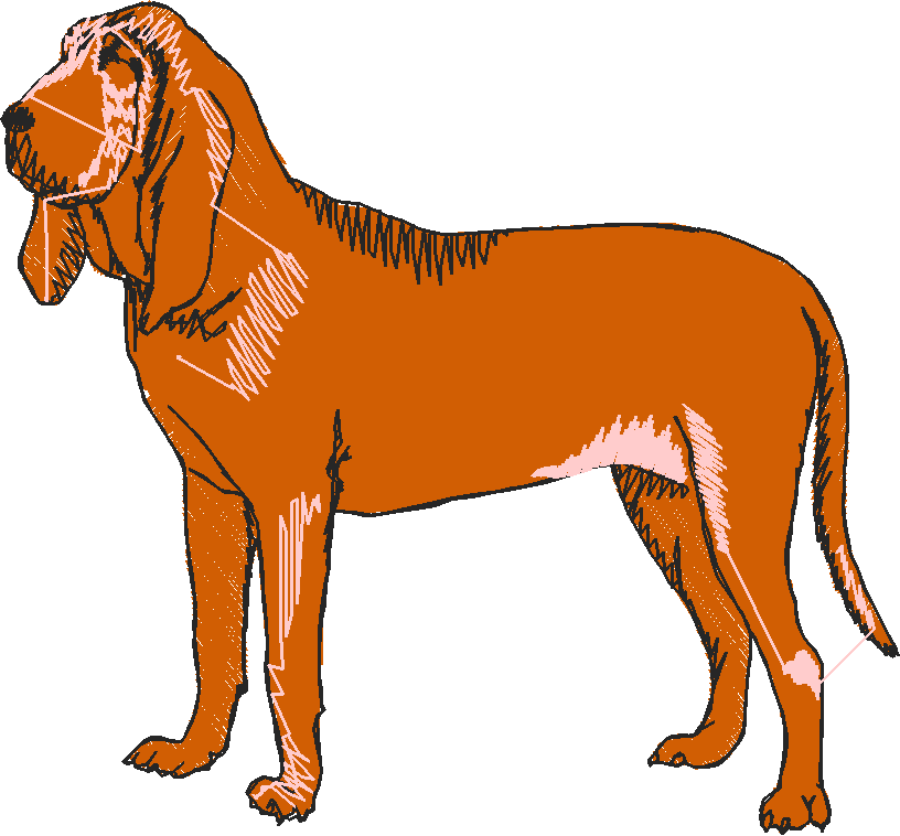 Dogs 15  (4)