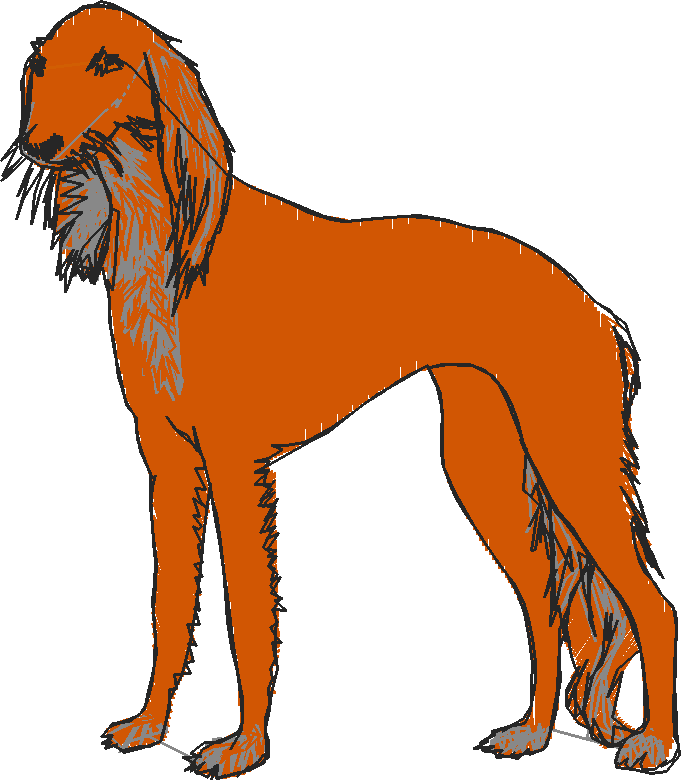Dogs 16  (16)