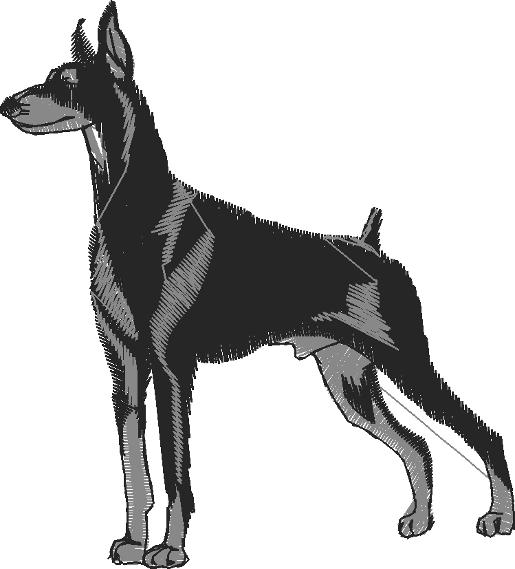 Dogs 16  (4)