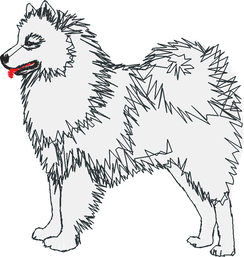 Dogs 18  (15)