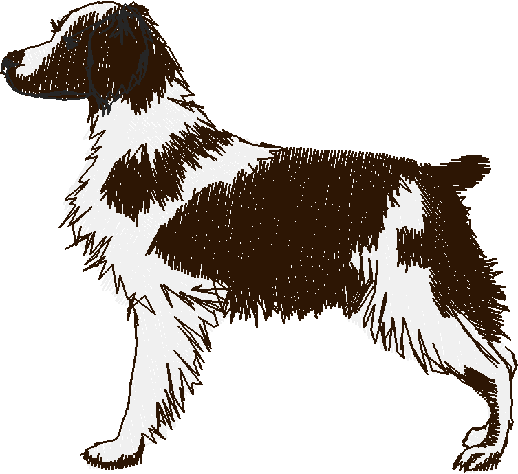 Dogs 18  (19)