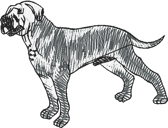 Dogs 19  (1)
