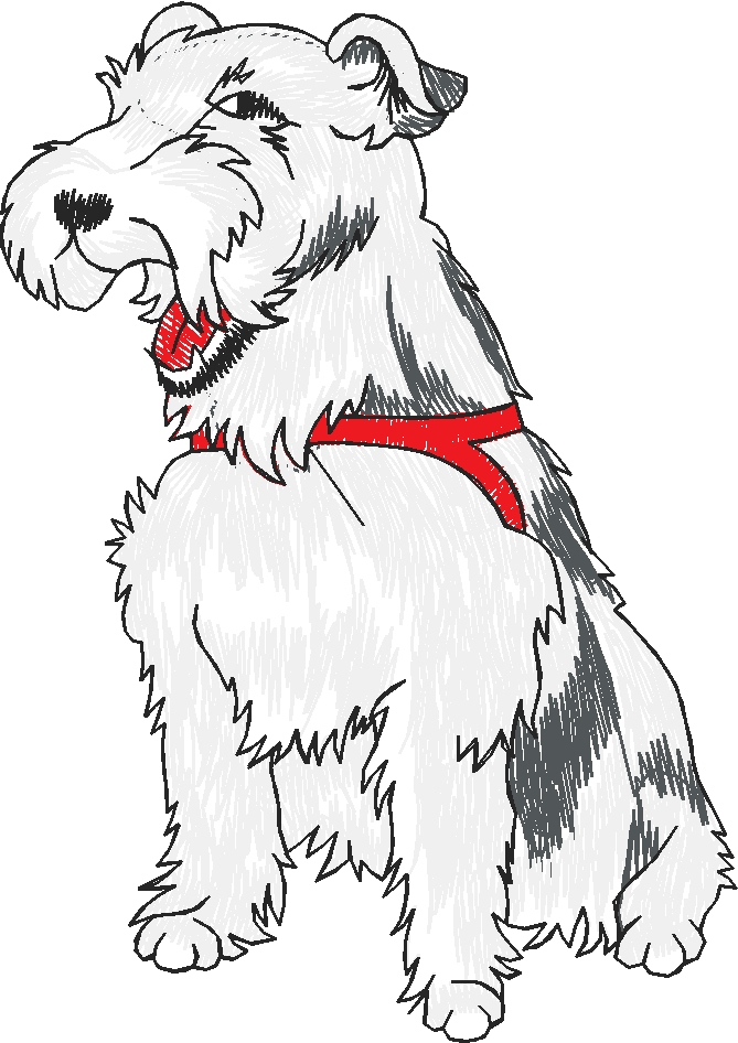 Dogs 19  (12)