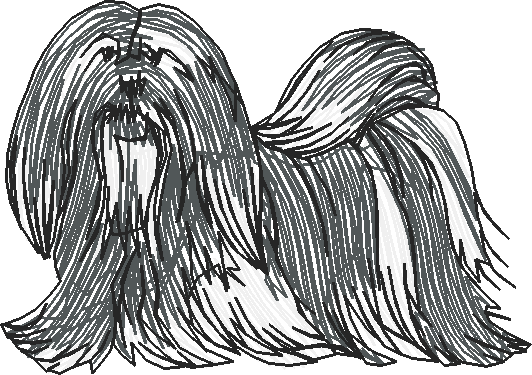 Dogs 19  (19)