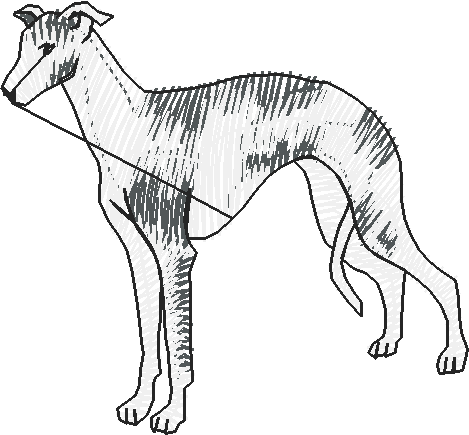 Dogs 19  (2)