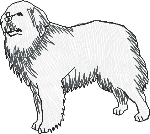 Dogs 19  (20)