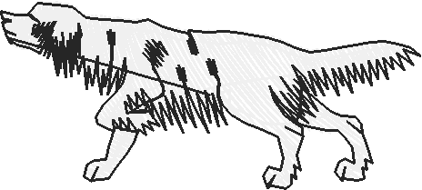 Dogs 19  (6)