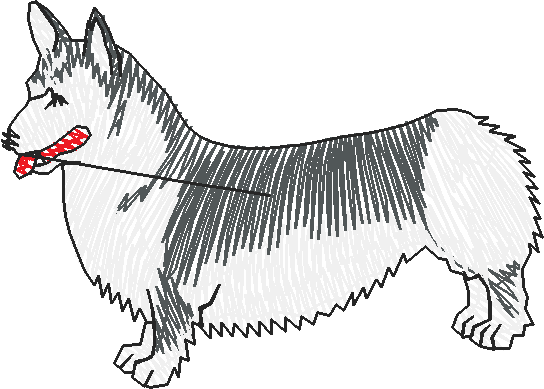 Dogs 19  (7)