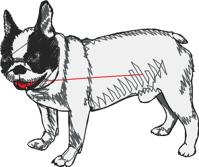 Dogs 2  (12)