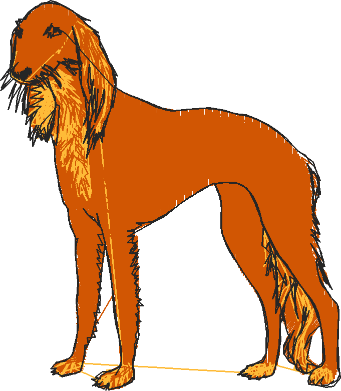 Dogs 2  (16)