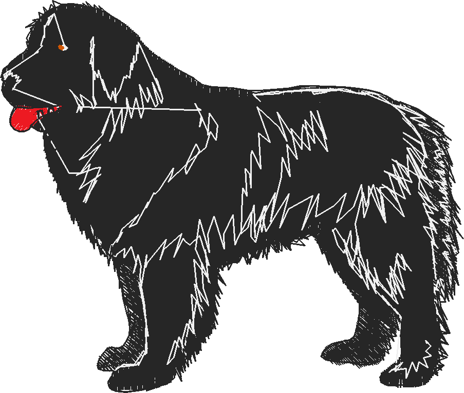 Dogs 2  (18)