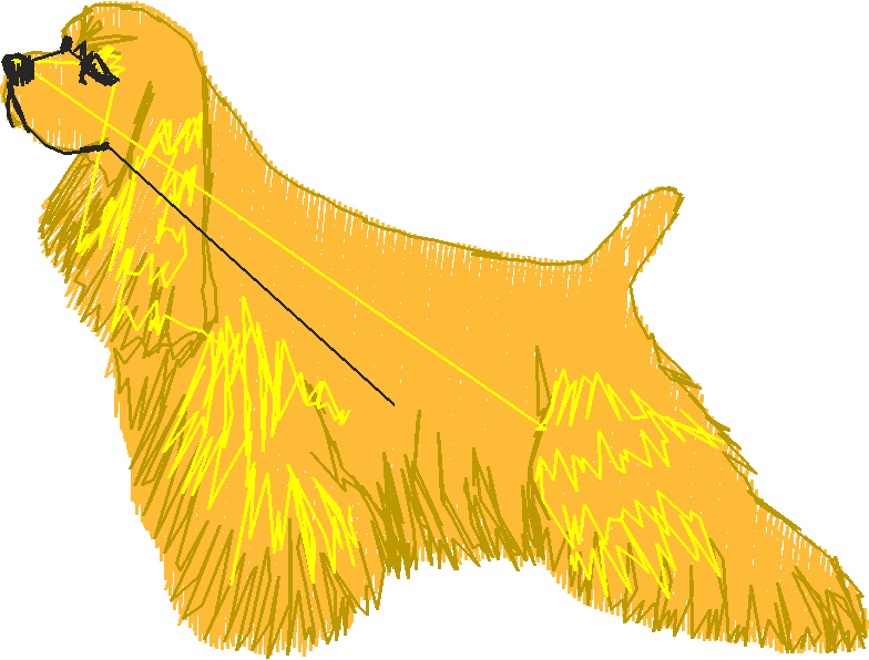 Dogs 2  (3)