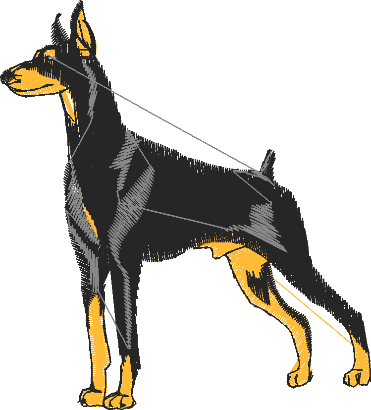 Dogs 2  (4)
