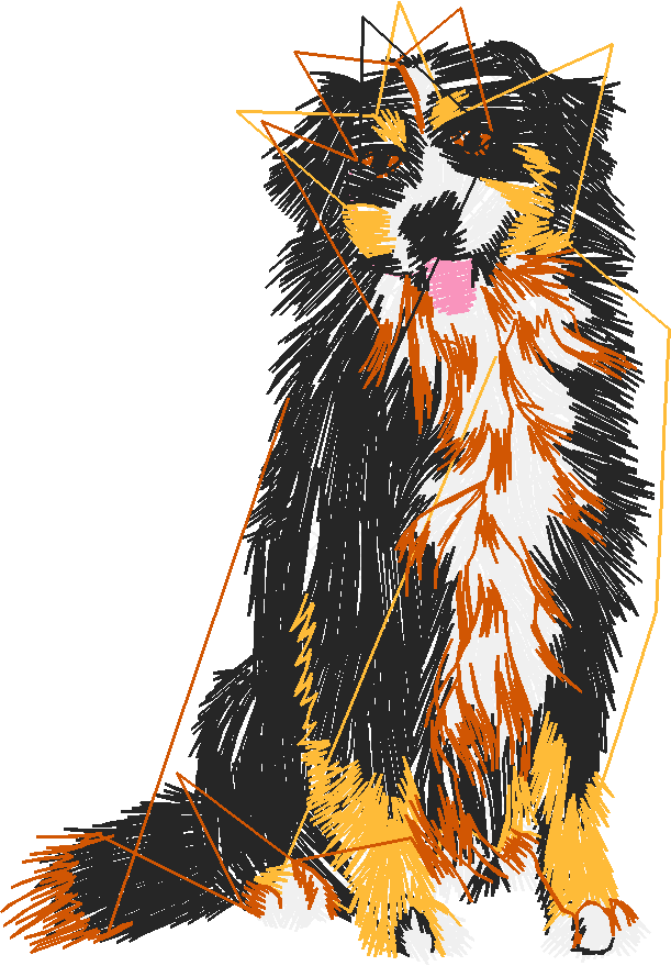 Dogs 20  (1)