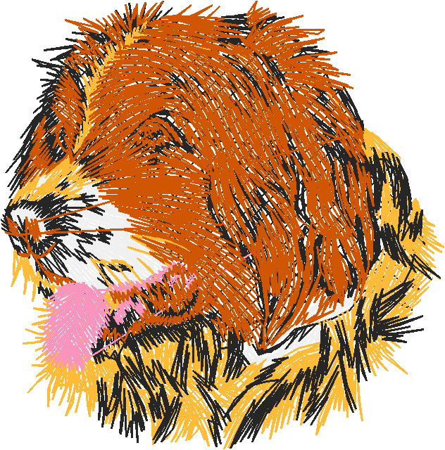 Dogs 20  (7)