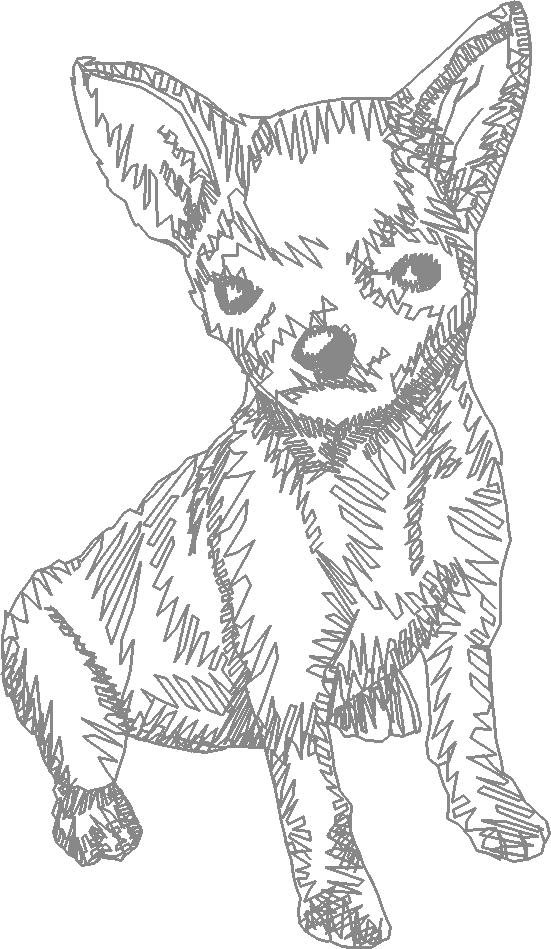 Dogs 23  (15)