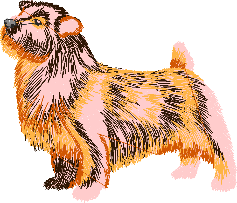 Dogs 3  (15)