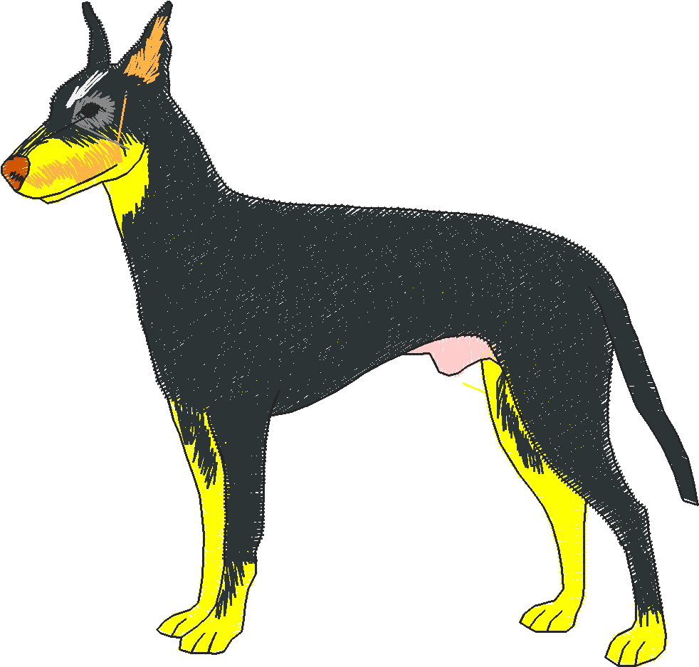 Dogs 3  (16)