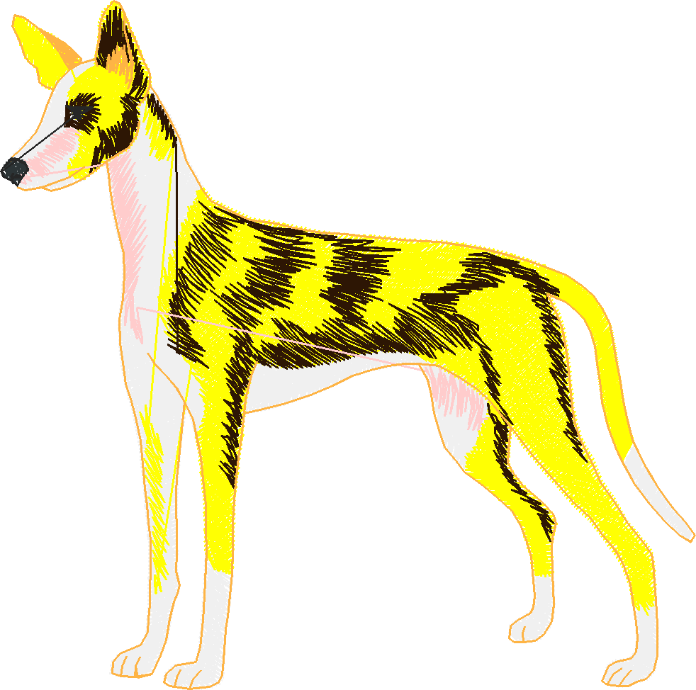 Dogs 3  (18)