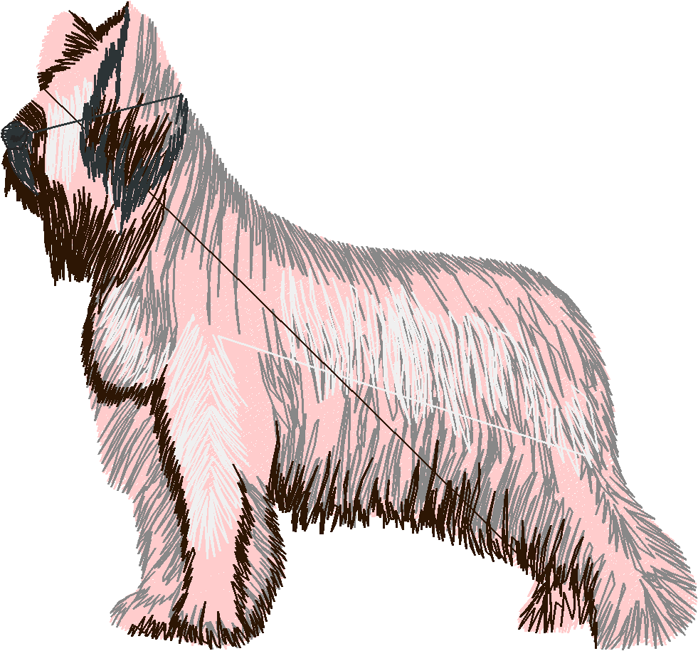 Dogs 3  (3)