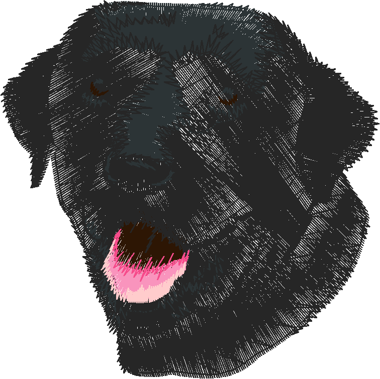 Dogs 5  (11)