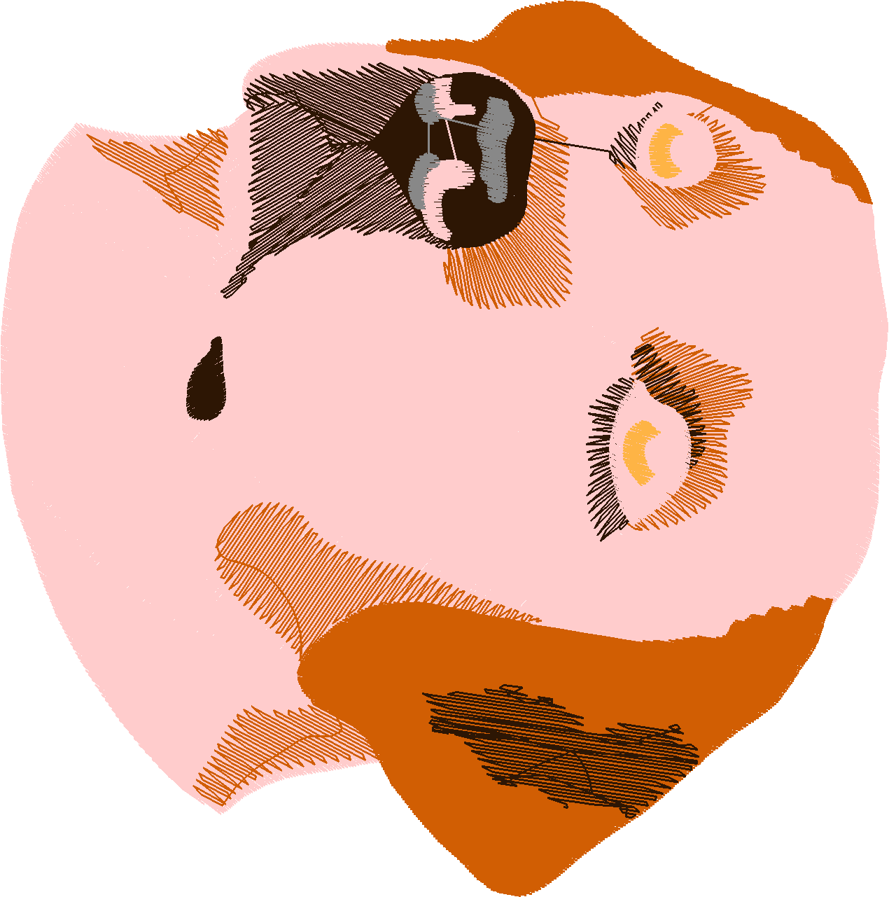 Dogs 5  (113)
