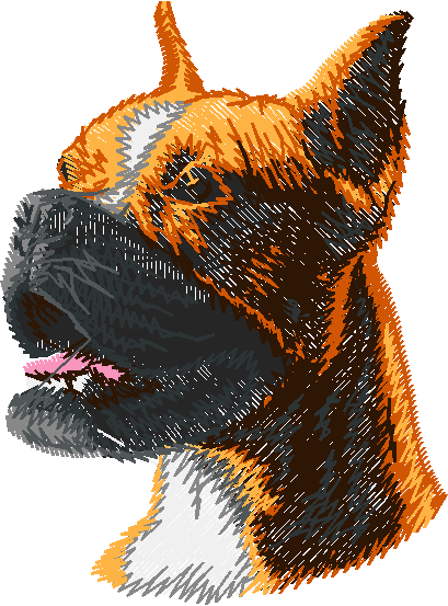 Dogs 5  (12)
