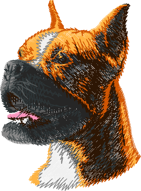 Dogs 5  (13)