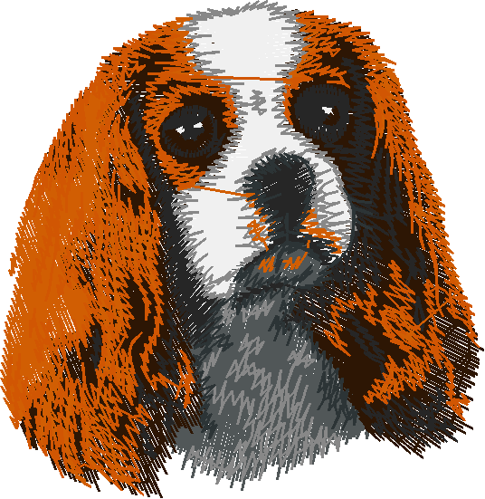 Dogs 5  (34)