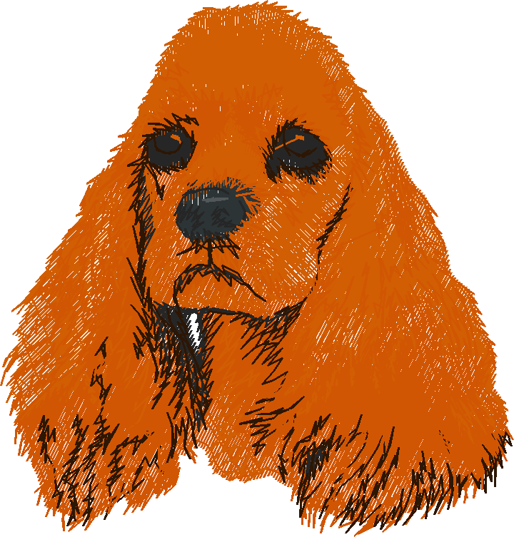 Dogs 5  (4)