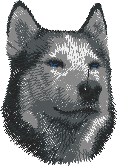 Dogs 5  (51)