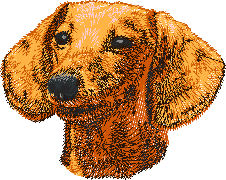 Dogs 5  (65)