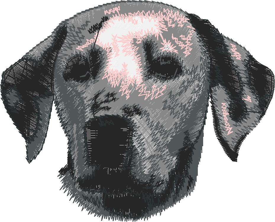 Dogs 5  (66)