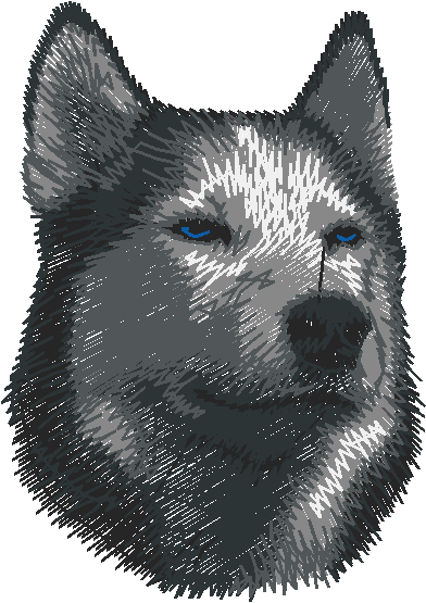 Dogs 5  (79)