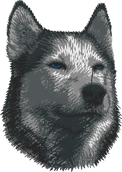 Dogs 5  (80)