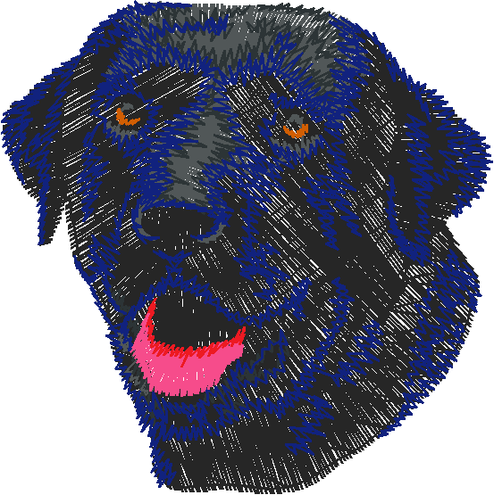 Dogs 5  (9)