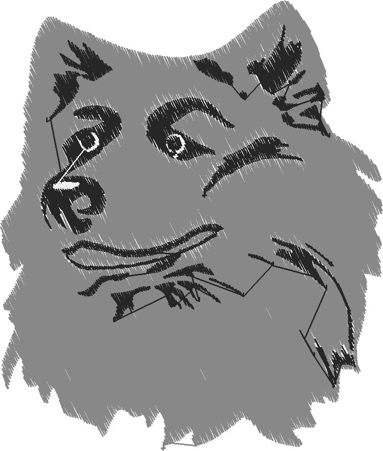 Dogs 6  (17)