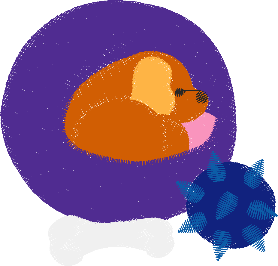 Dogs 6  (54)