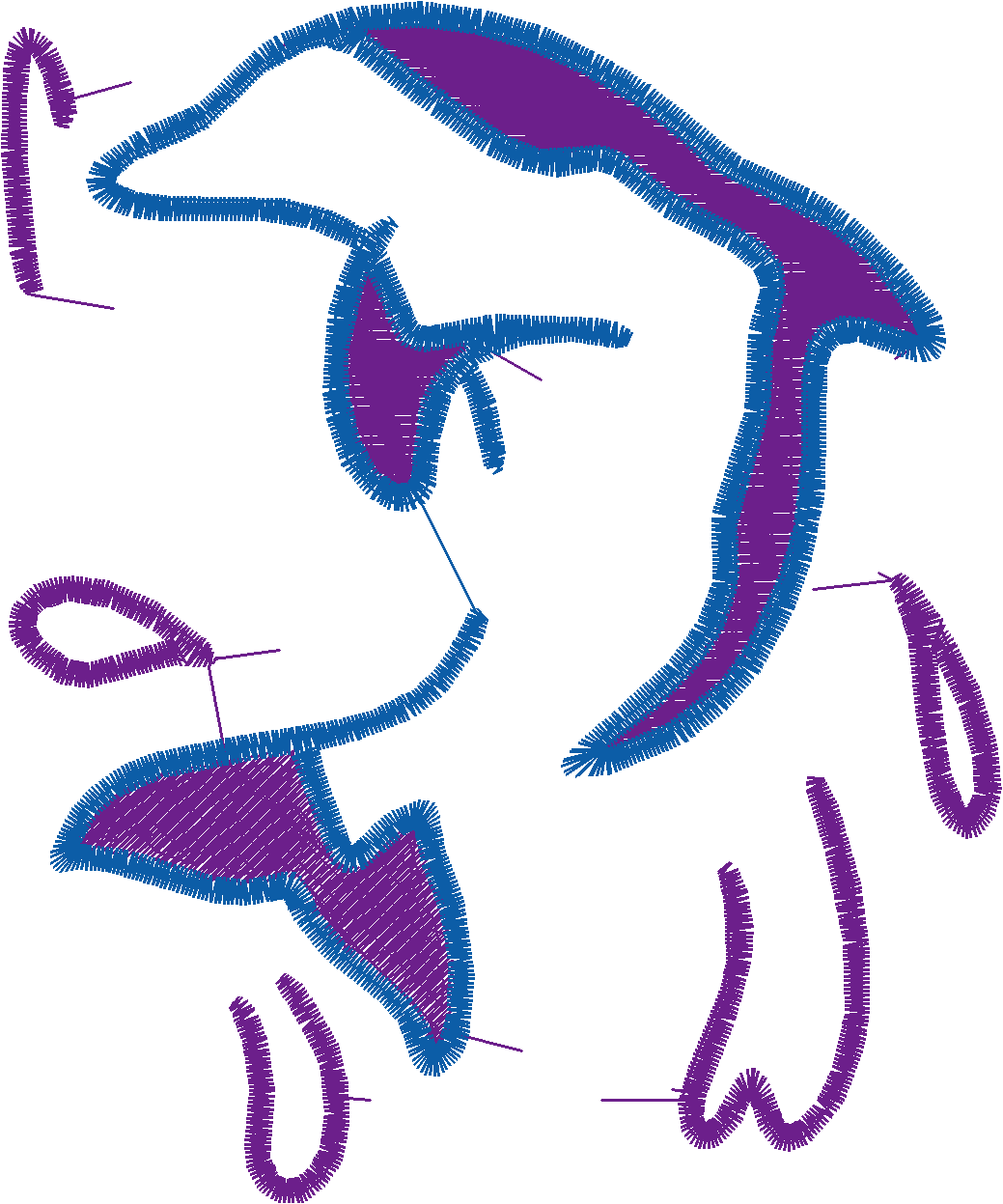 Dolphins 5  (11)