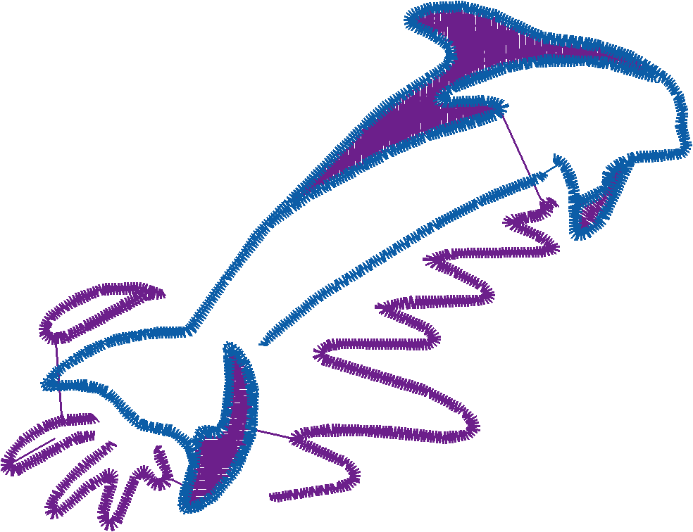 Dolphins 5  (16)