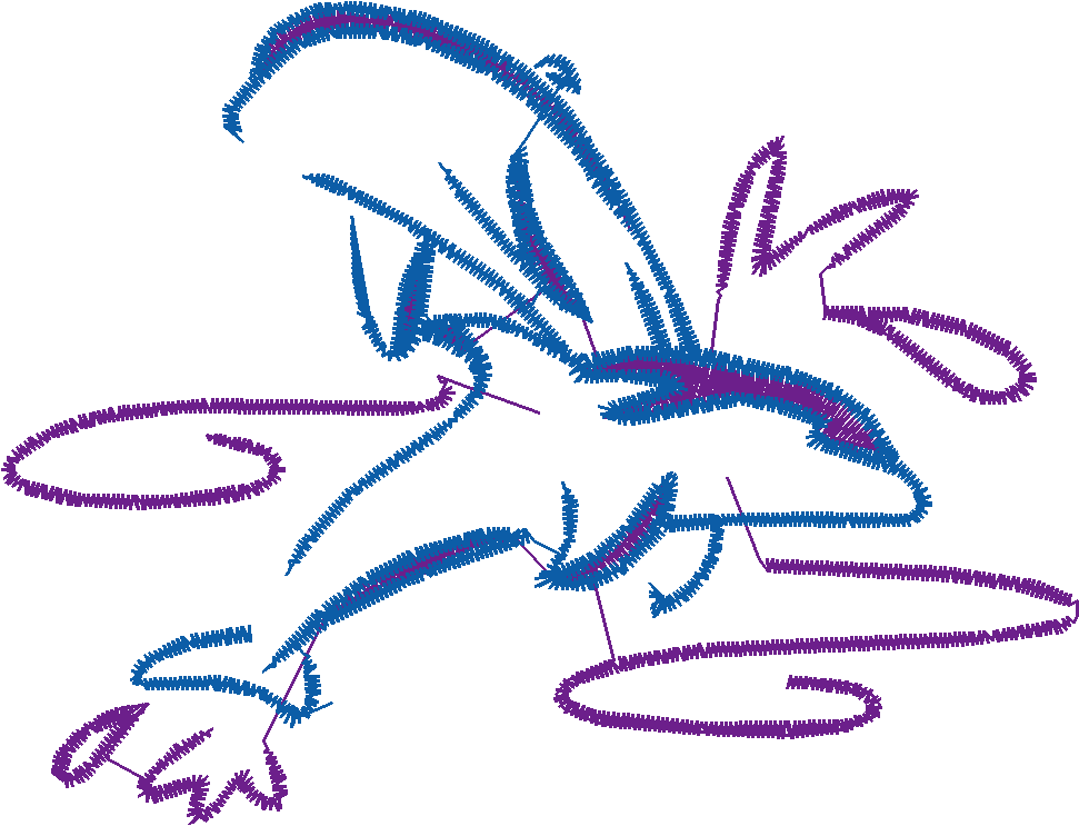 Dolphins 5  (19)