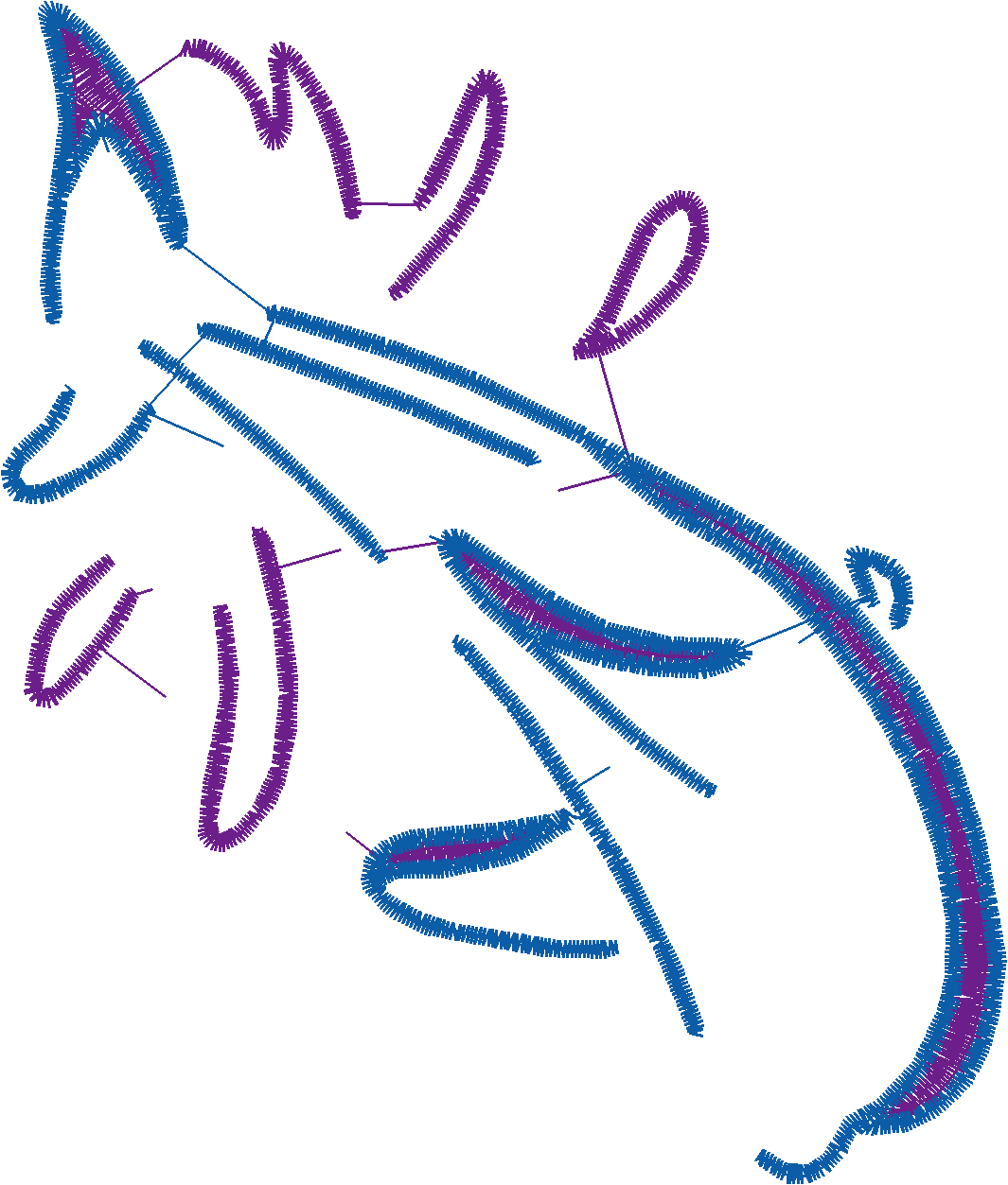 Dolphins 5  (2)
