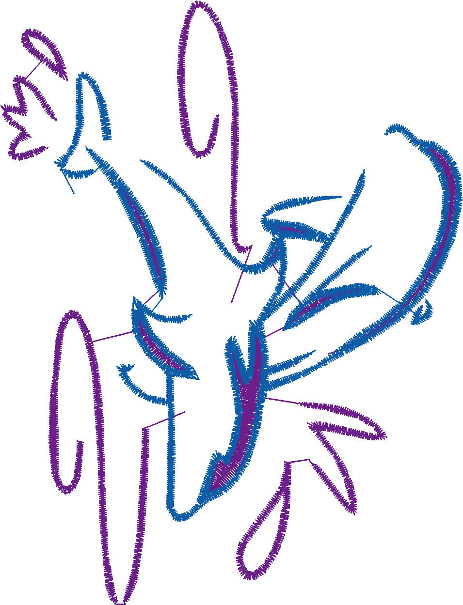 Dolphins 5  (20)