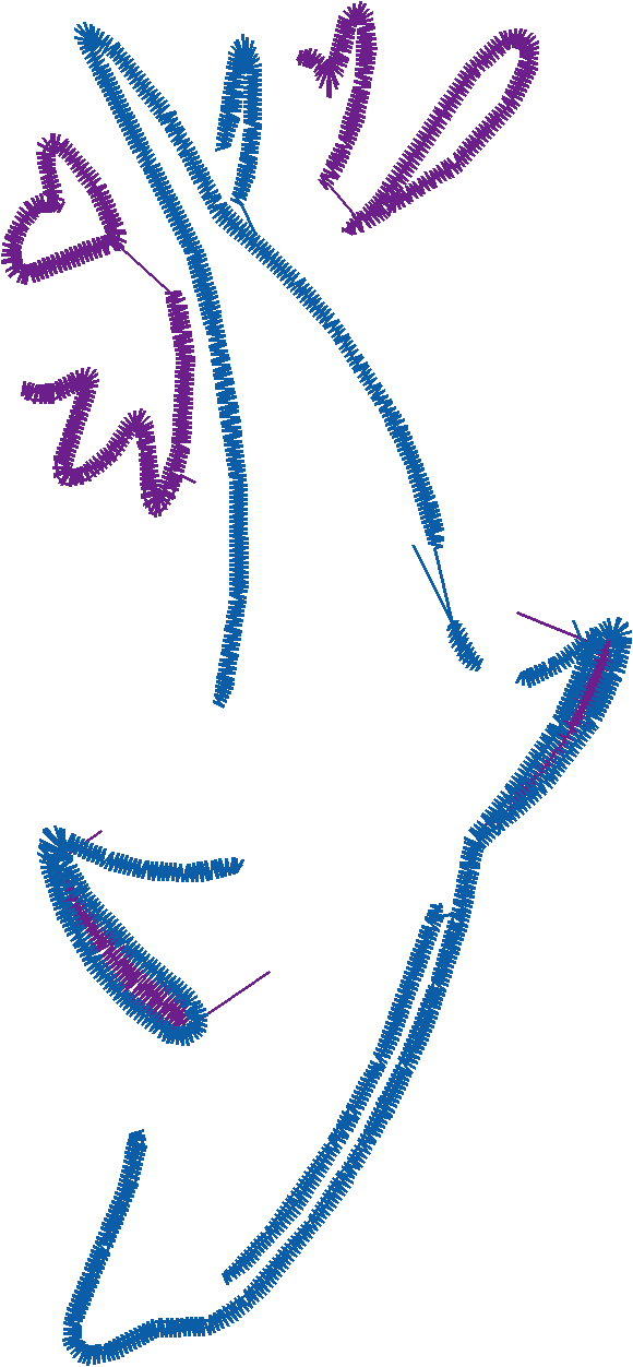 Dolphins 5  (26)