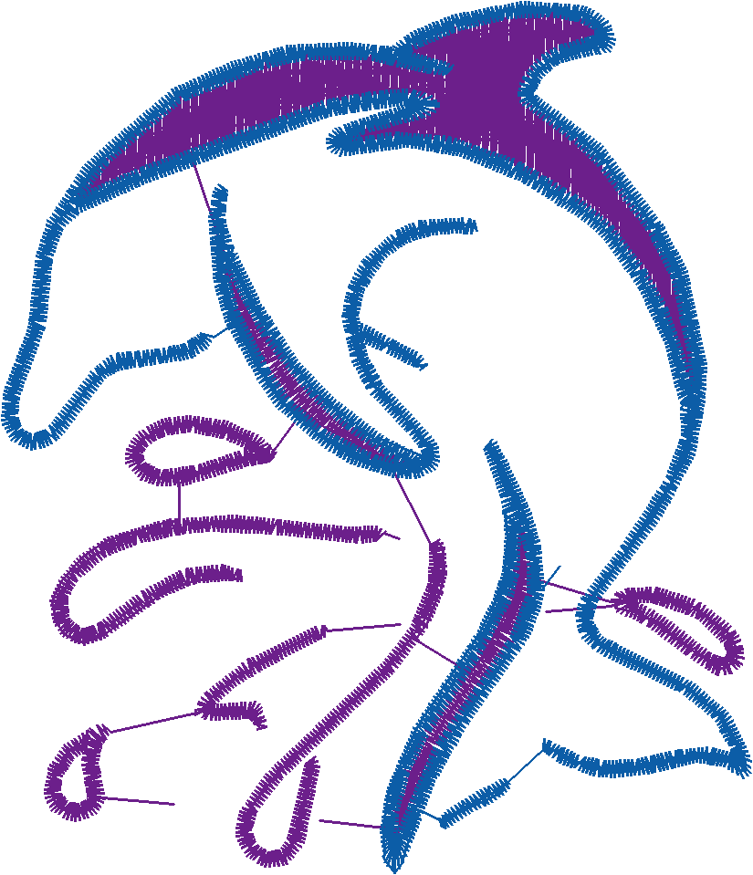 Dolphins 5  (28)