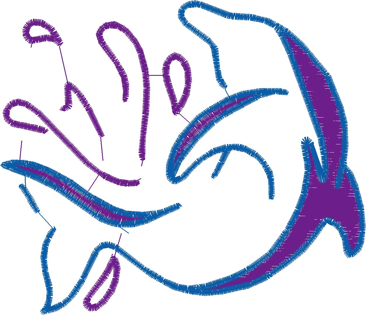Dolphins 5  (29)