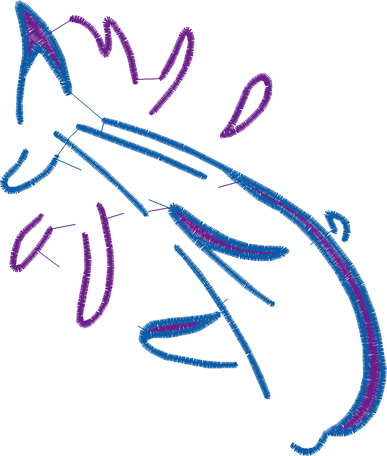 Dolphins 5  (3)